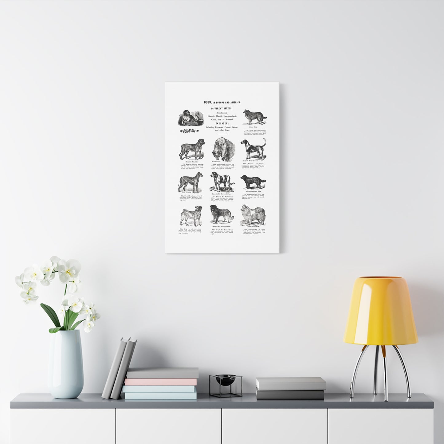 Vintage Dog Breed Poster Matte Canvas, Stretched, 1.25"