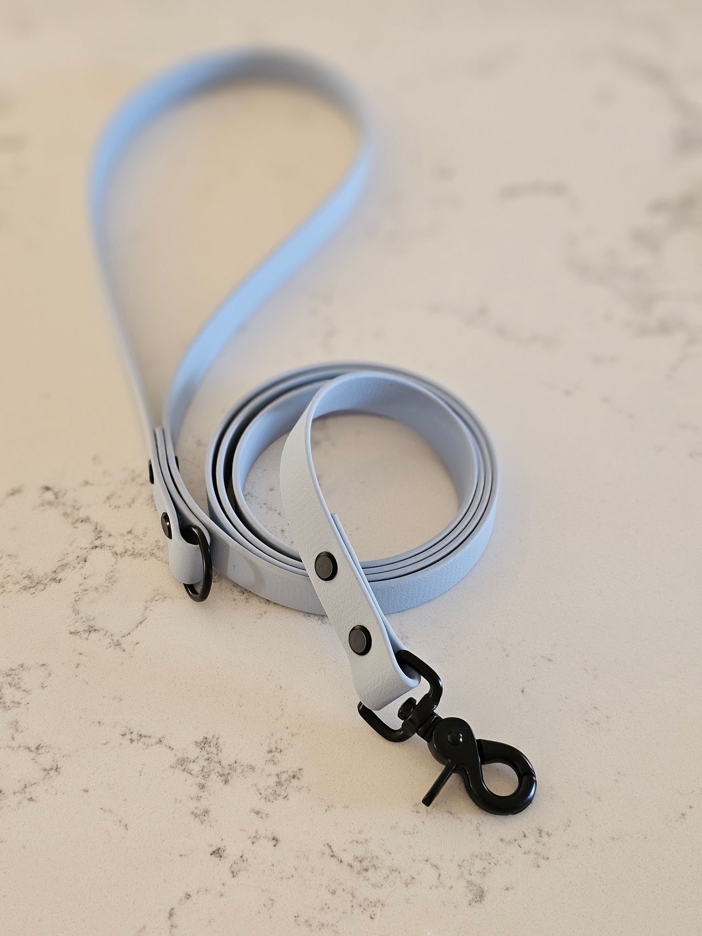 Spring Leash ( 19mm width)