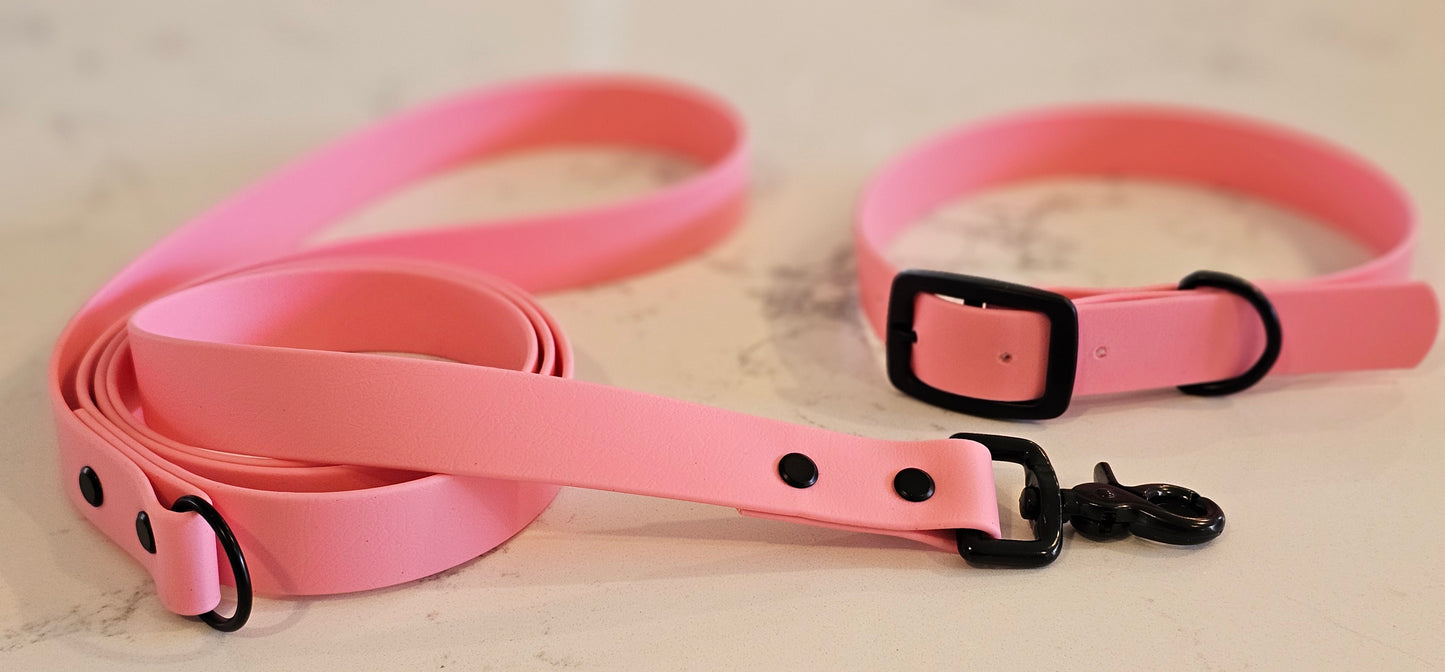 Spring Leash (25mm width)
