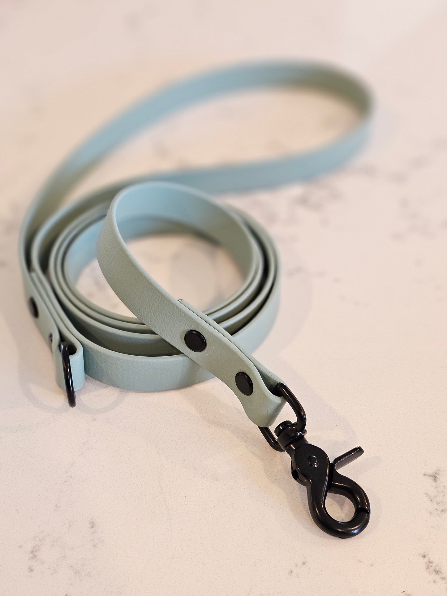 Spring Leash ( 19mm width)