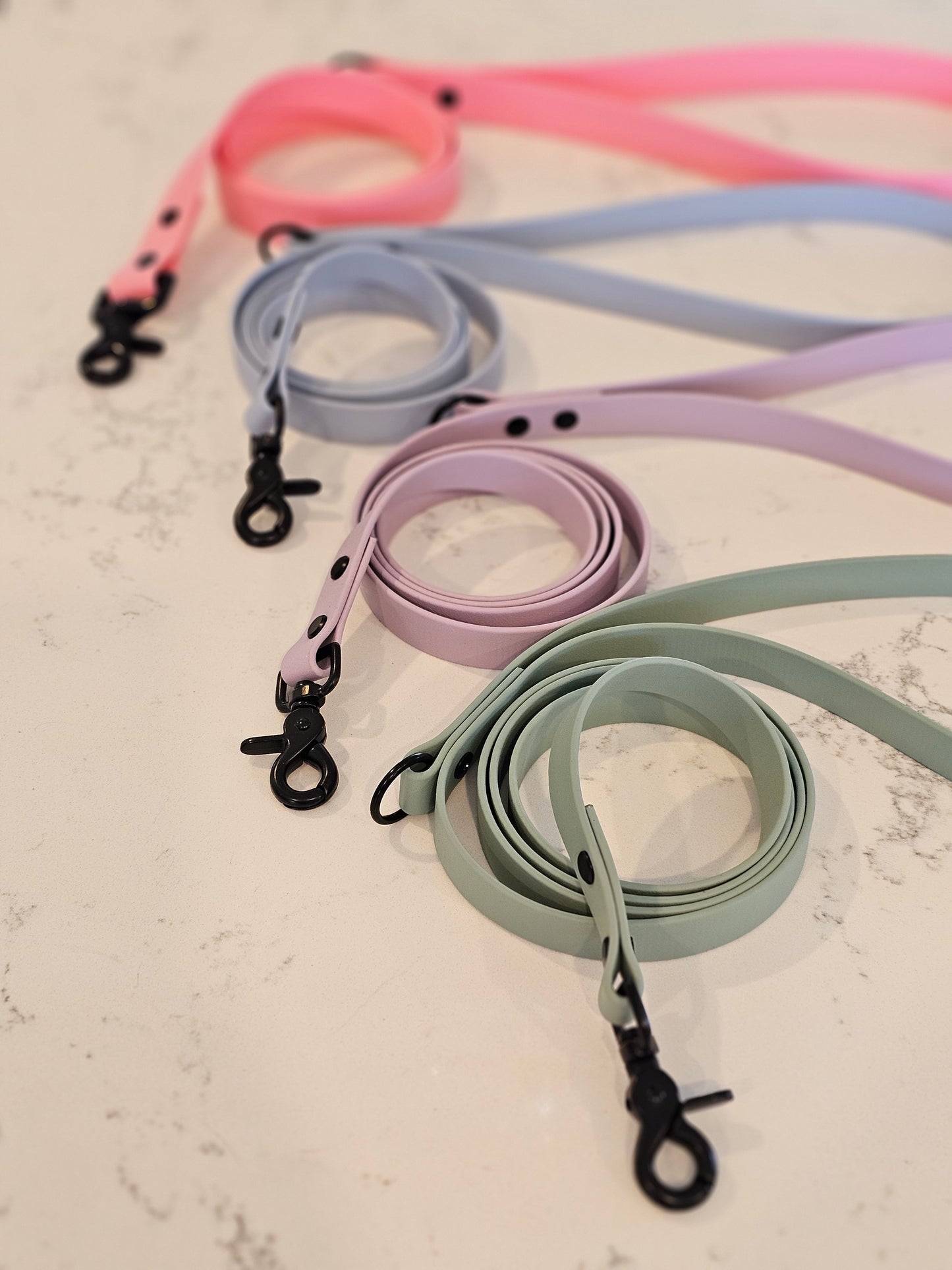 Spring Leash ( 19mm width)