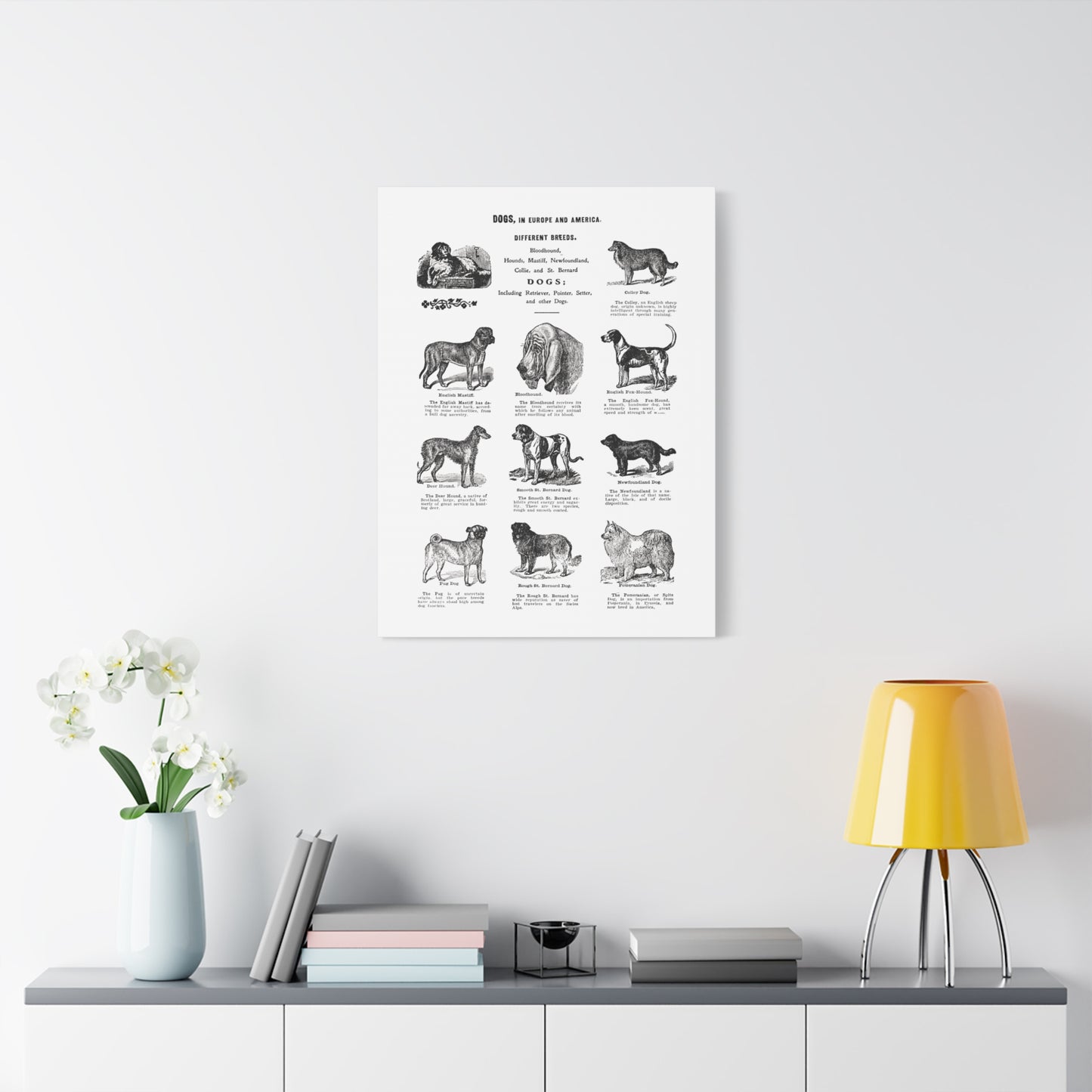 Vintage Dog Breed Poster Matte Canvas, Stretched, 1.25"