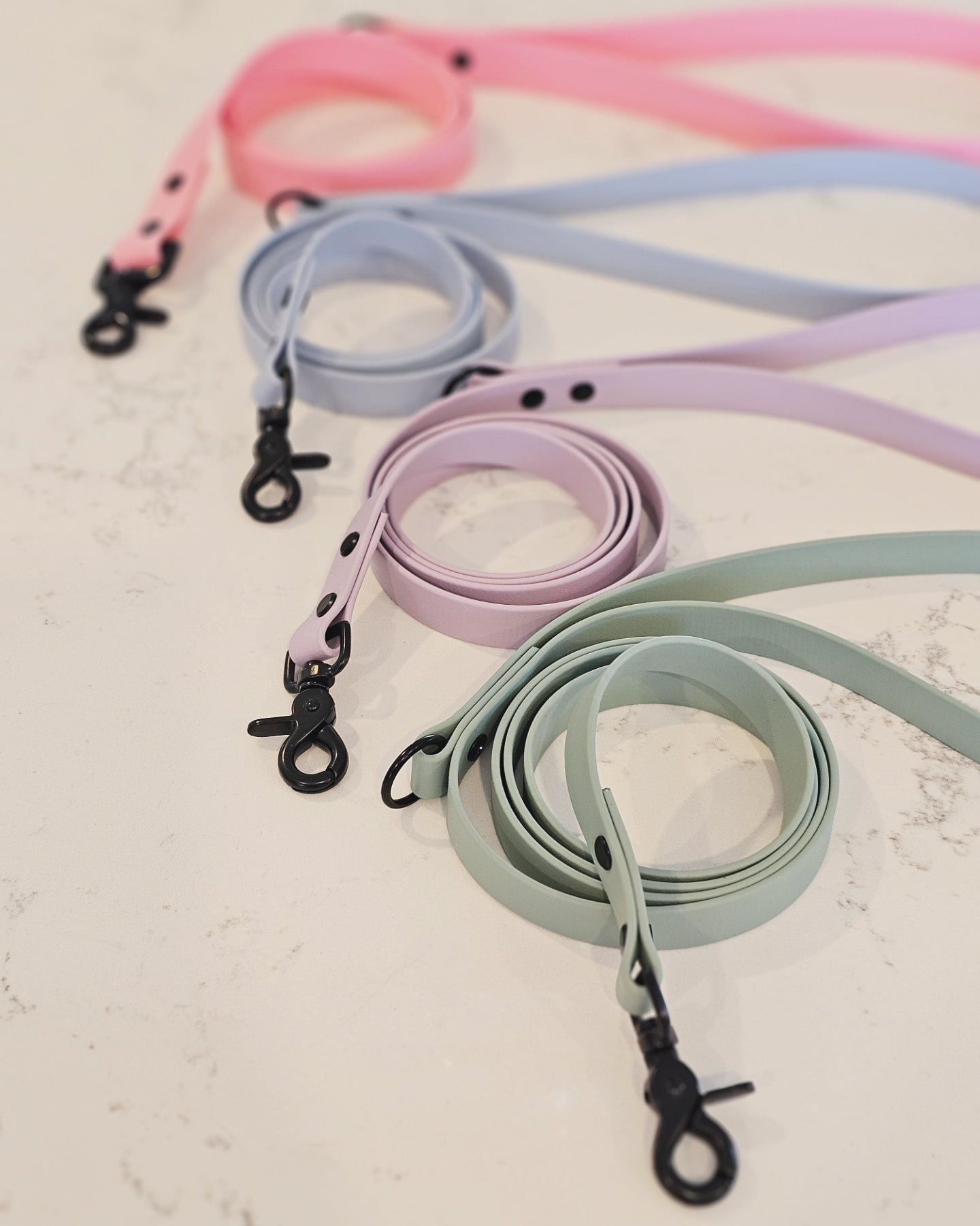 Spring Leash (25mm width)