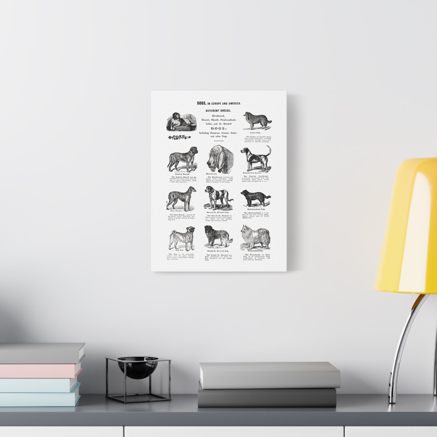 Vintage Dog Breed Poster Matte Canvas, Stretched, 1.25"
