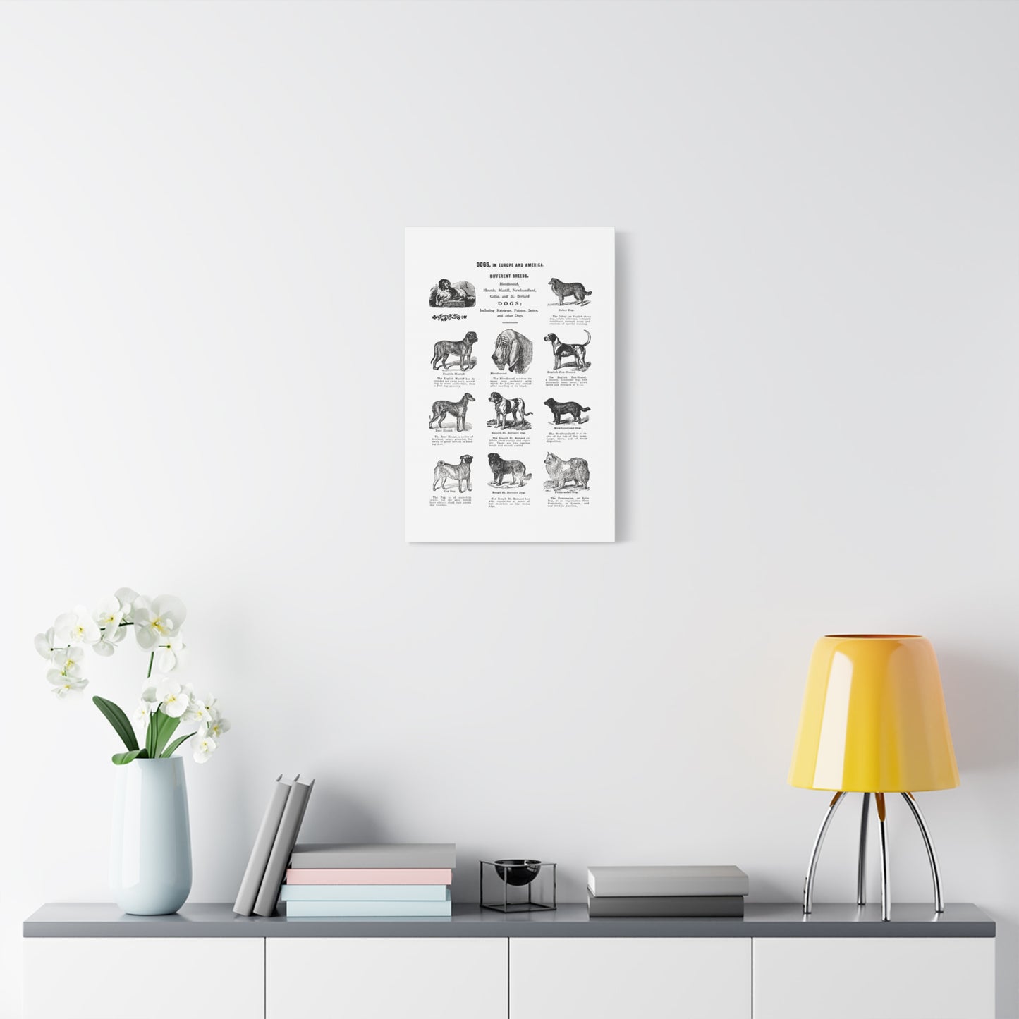 Vintage Dog Breed Poster Matte Canvas, Stretched, 1.25"