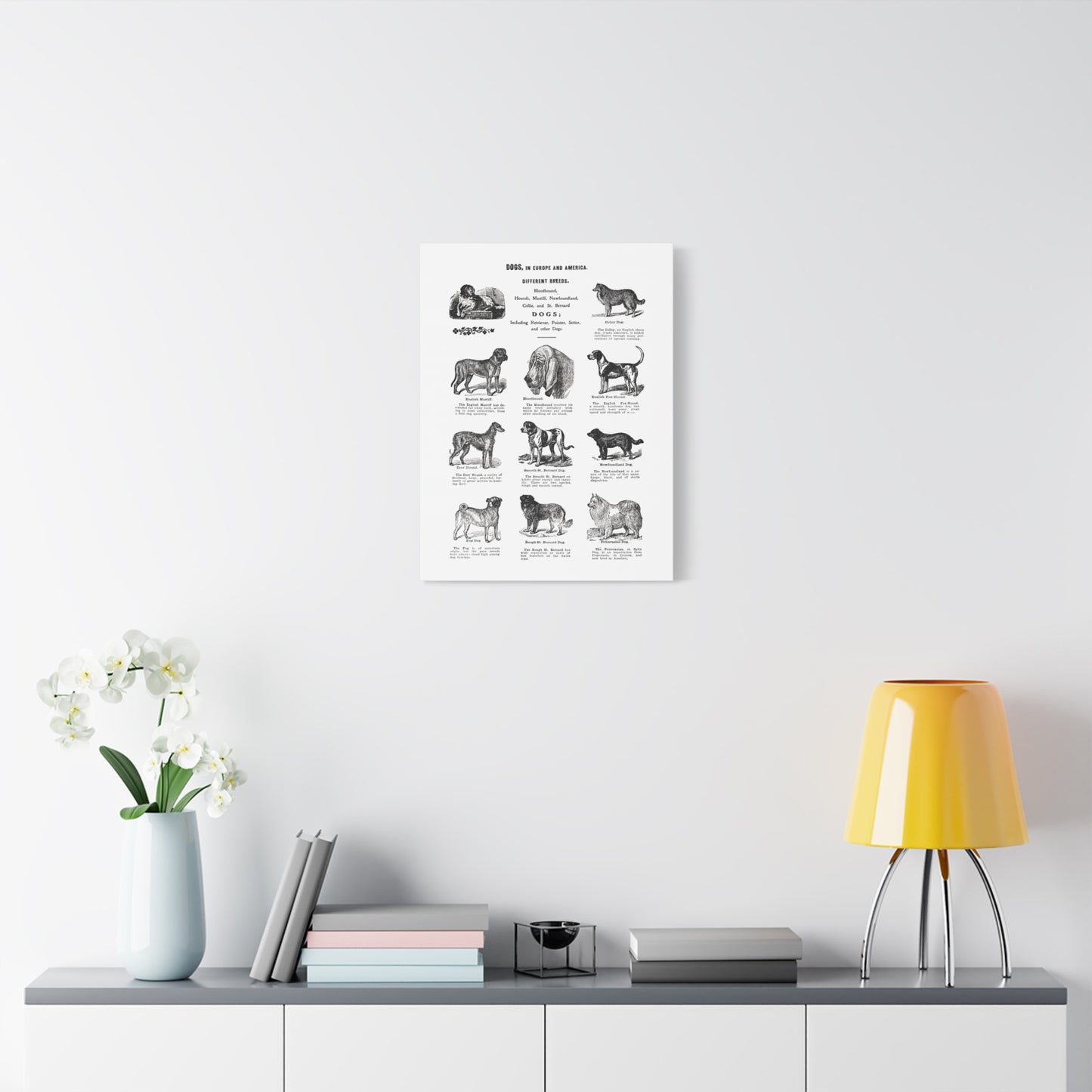 Vintage Dog Breed Poster Matte Canvas, Stretched, 1.25"