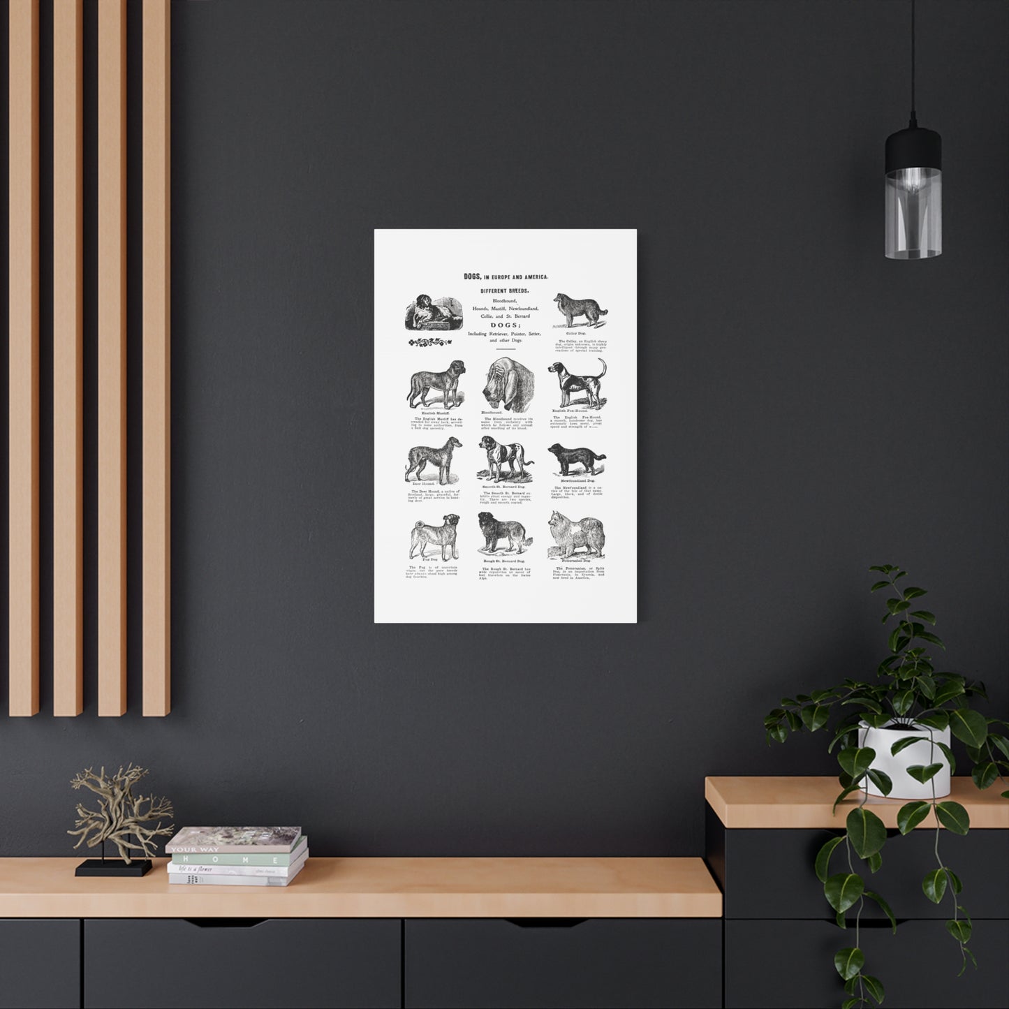 Vintage Dog Breed Poster Matte Canvas, Stretched, 1.25"