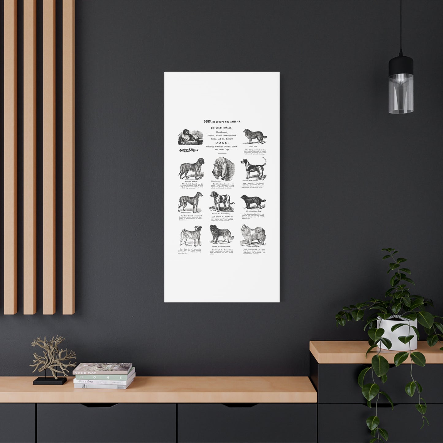 Vintage Dog Breed Poster Matte Canvas, Stretched, 1.25"