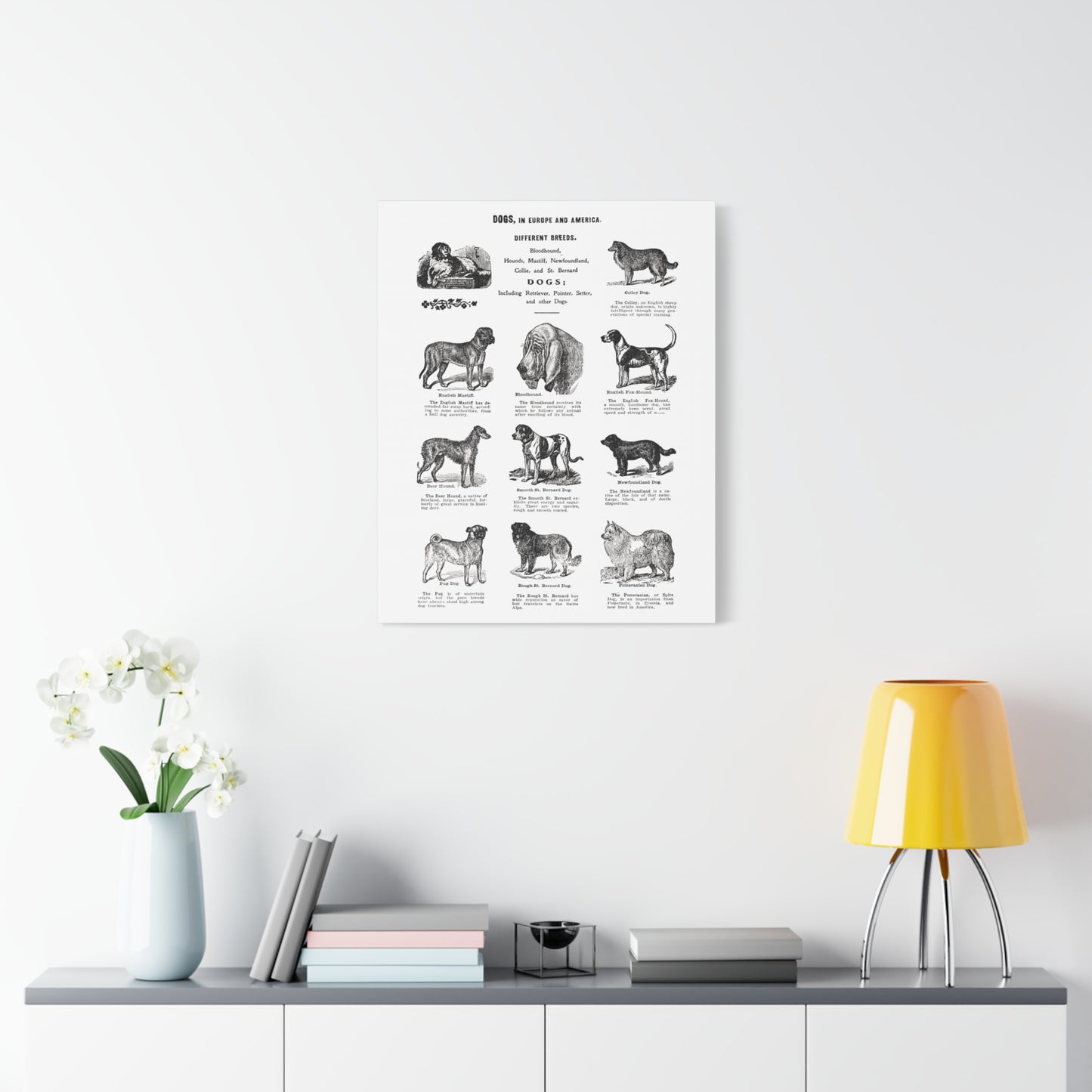 Vintage Dog Breed Poster Matte Canvas, Stretched, 1.25"