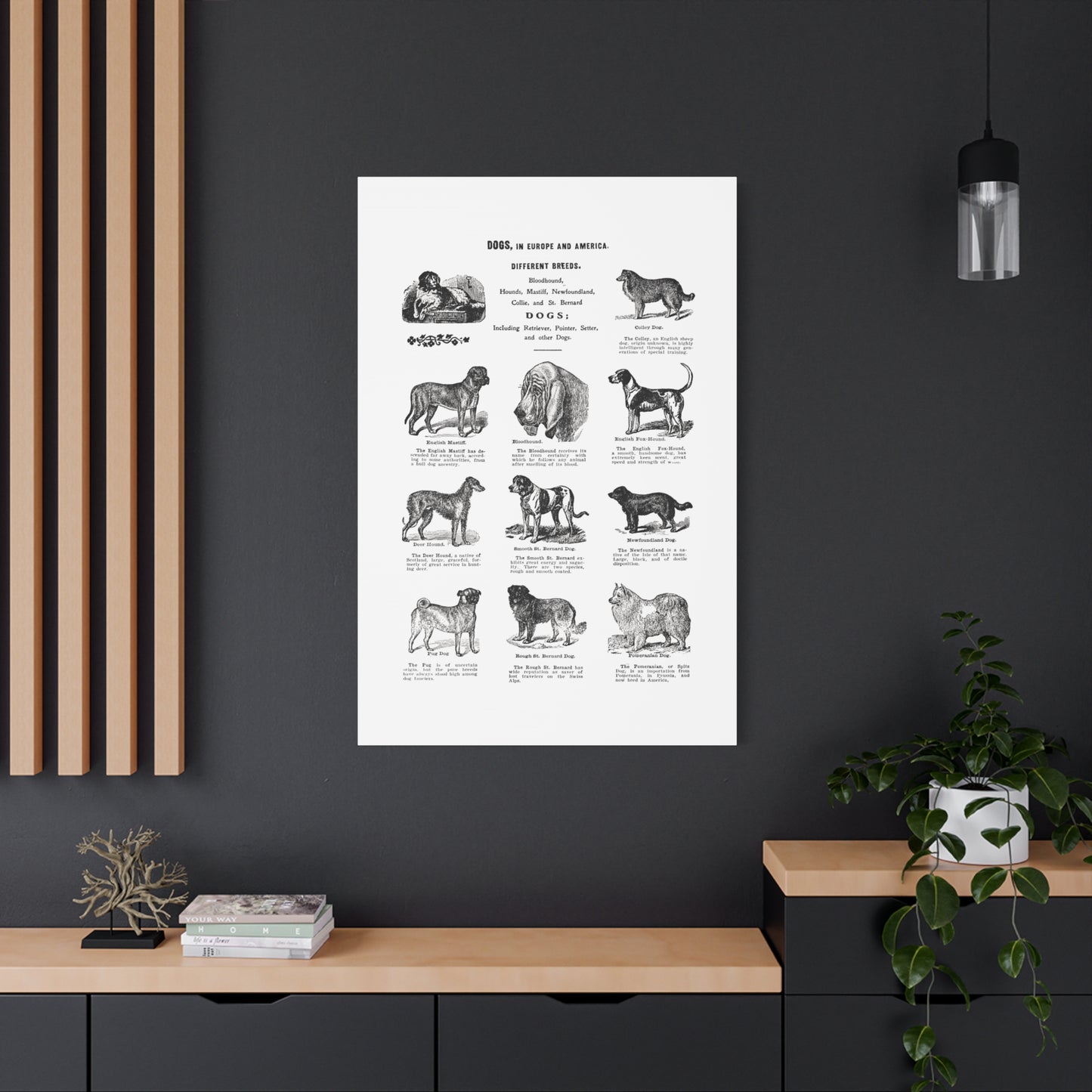 Vintage Dog Breed Poster Matte Canvas, Stretched, 1.25"