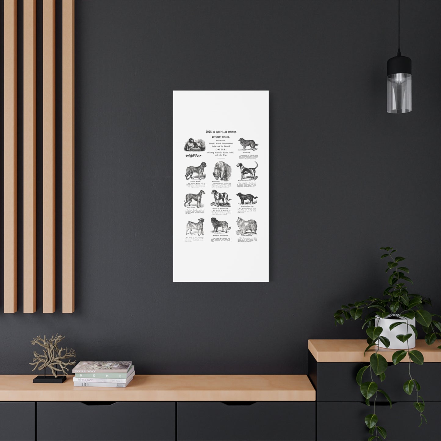 Vintage Dog Breed Poster Matte Canvas, Stretched, 1.25"