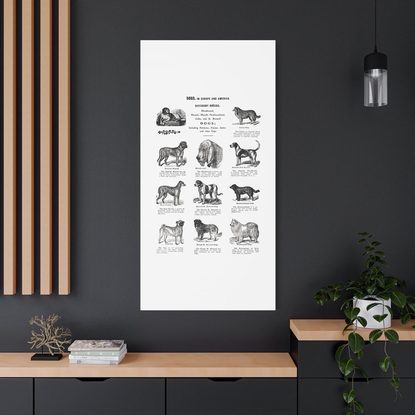 Vintage Dog Breed Poster Matte Canvas, Stretched, 1.25"