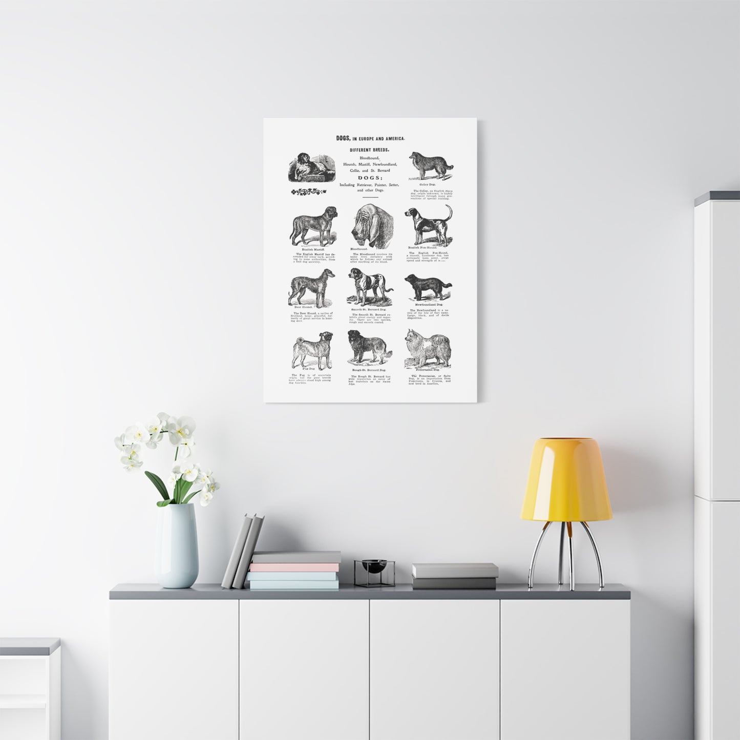 Vintage Dog Breed Poster Matte Canvas, Stretched, 1.25"