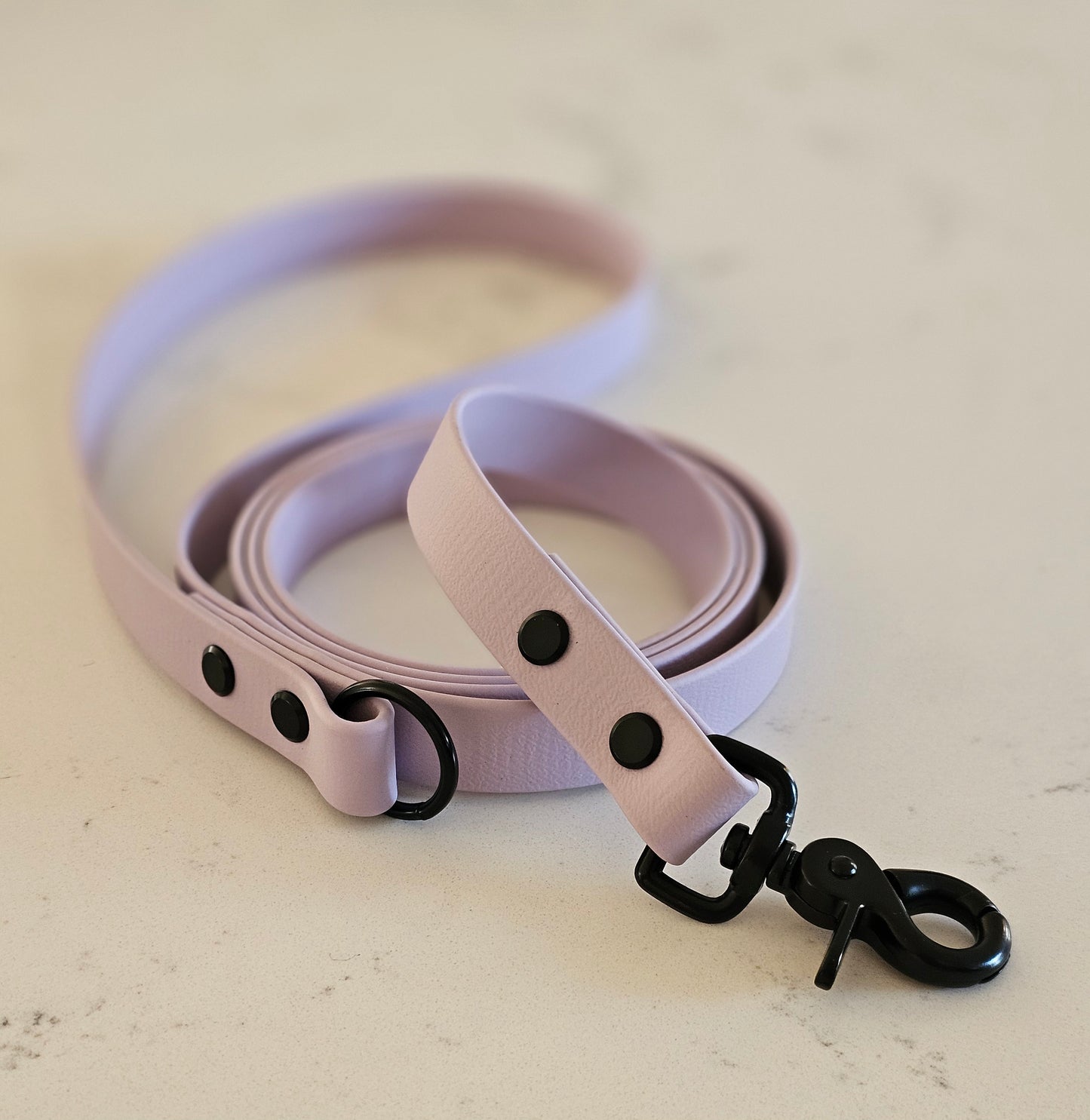 Spring Leash ( 19mm width)