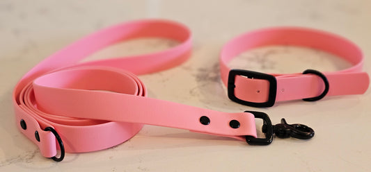 Spring Leash (25mm)