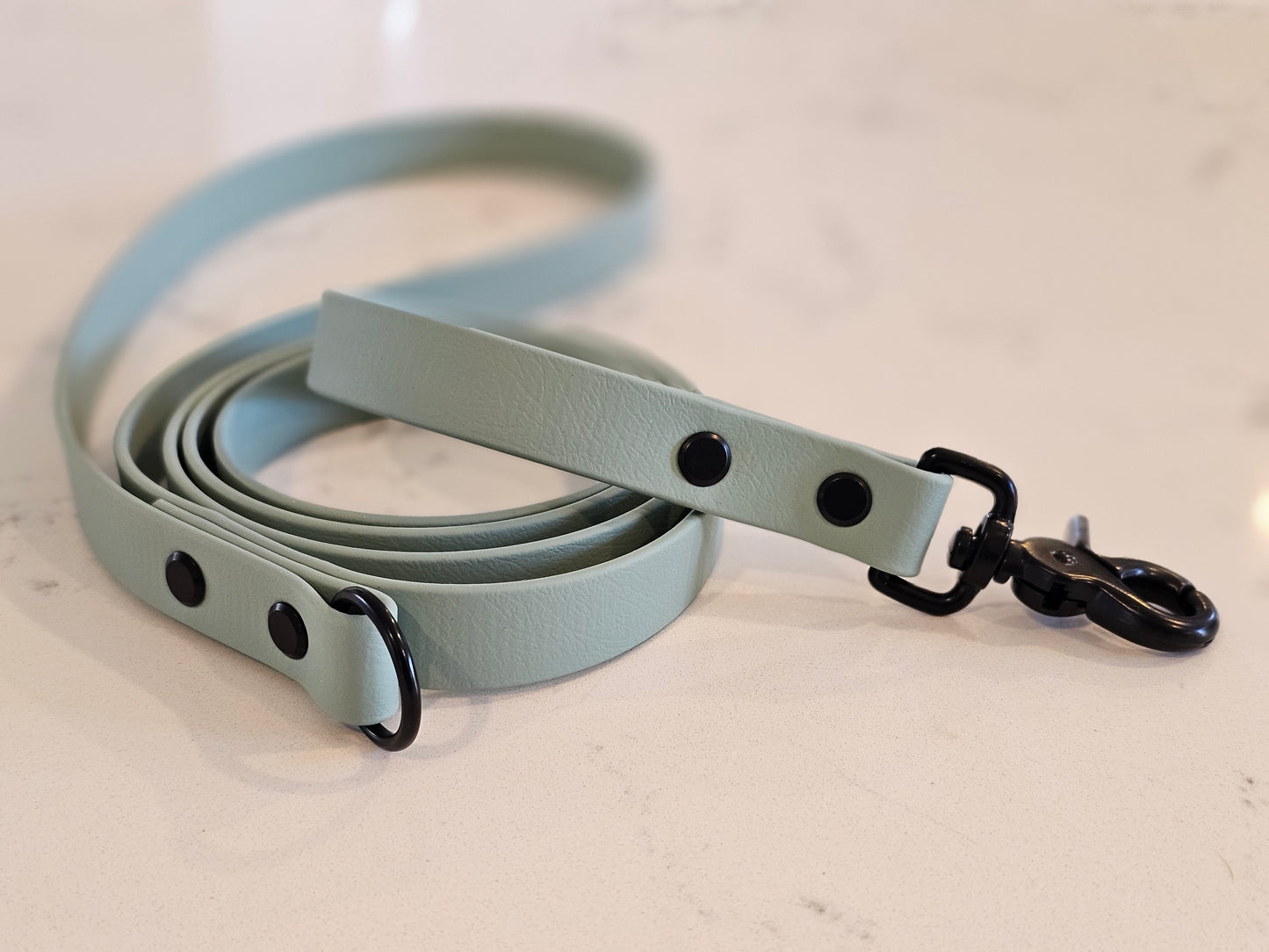 Spring Leash ( 19mm width)