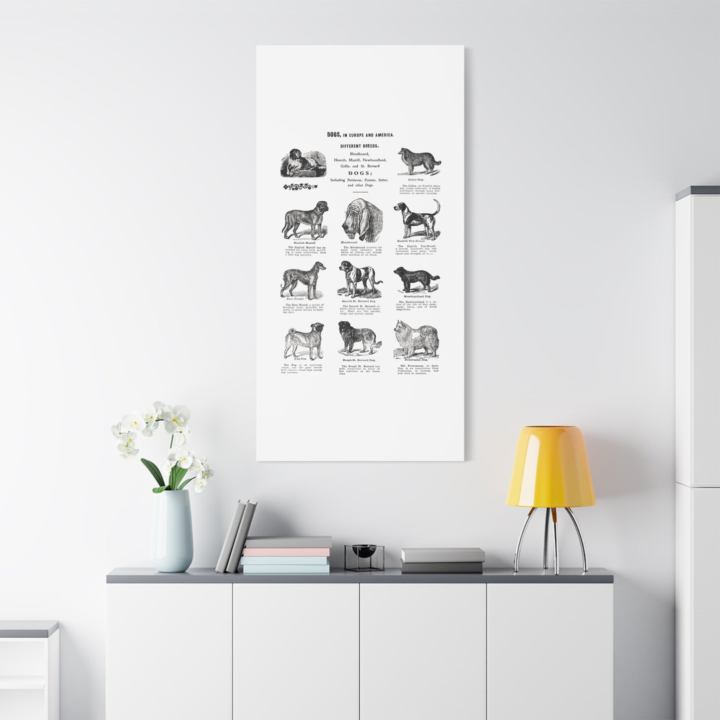Vintage Dog Breed Poster Matte Canvas, Stretched, 1.25"