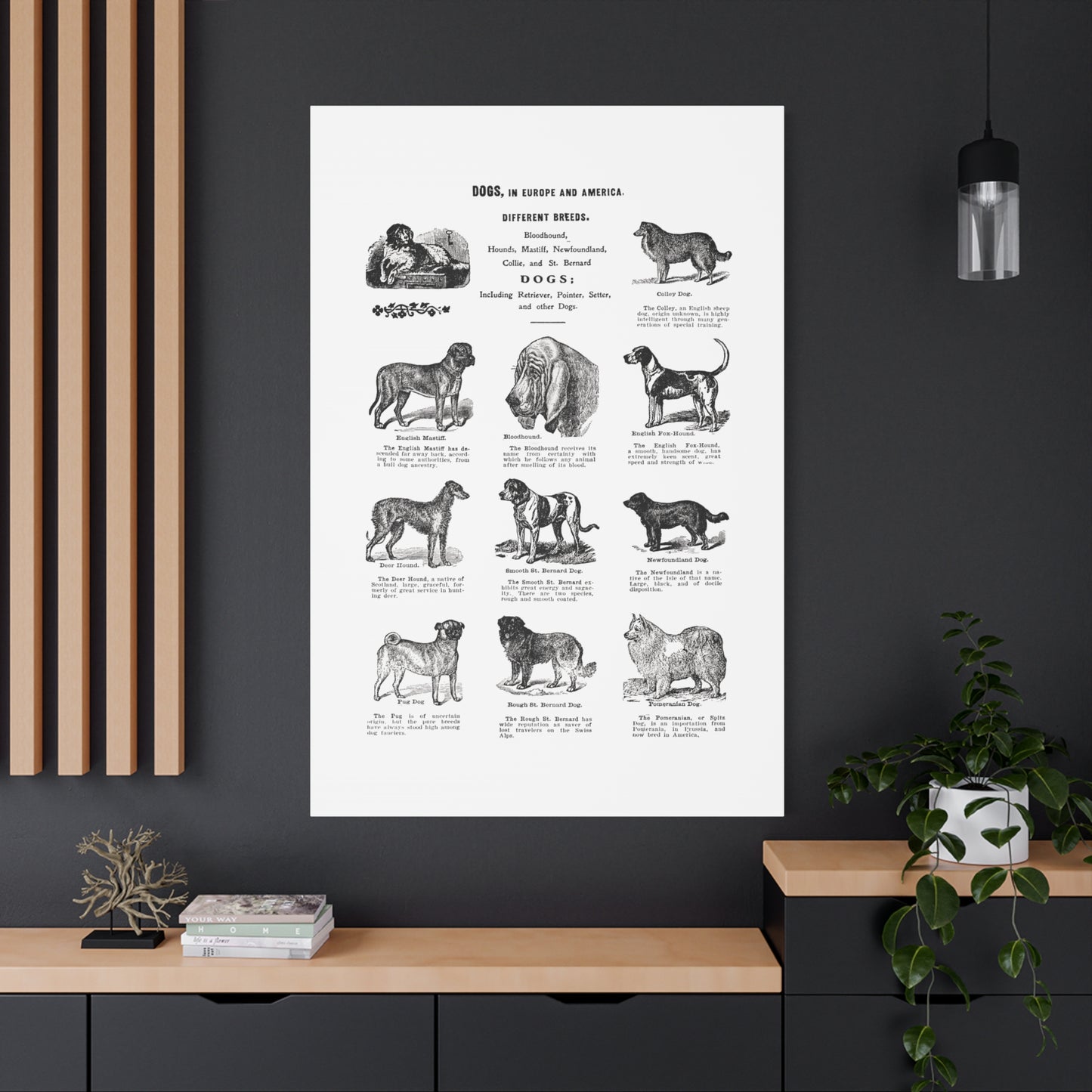 Vintage Dog Breed Poster Matte Canvas, Stretched, 1.25"