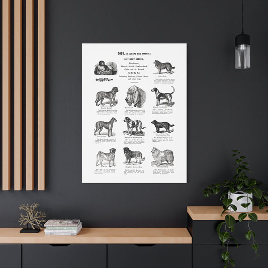 Vintage Dog Breed Poster Matte Canvas, Stretched, 1.25"