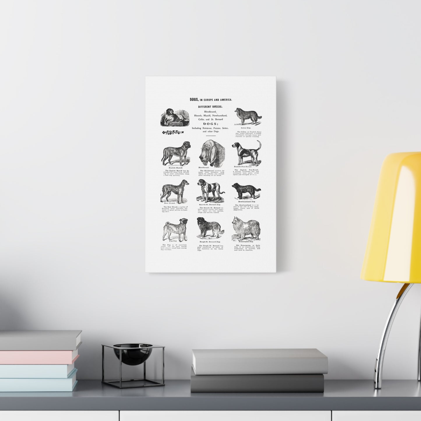 Vintage Dog Breed Poster Matte Canvas, Stretched, 1.25"