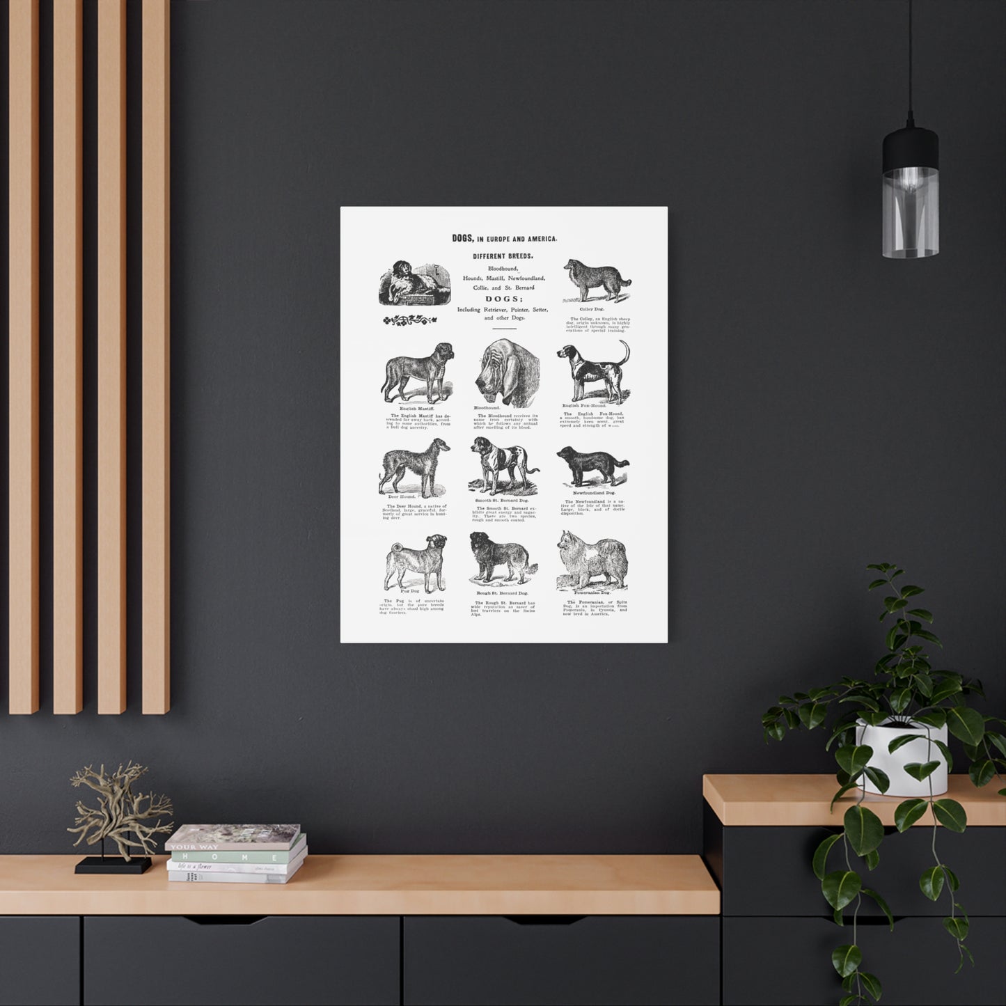 Vintage Dog Breed Poster Matte Canvas, Stretched, 1.25"