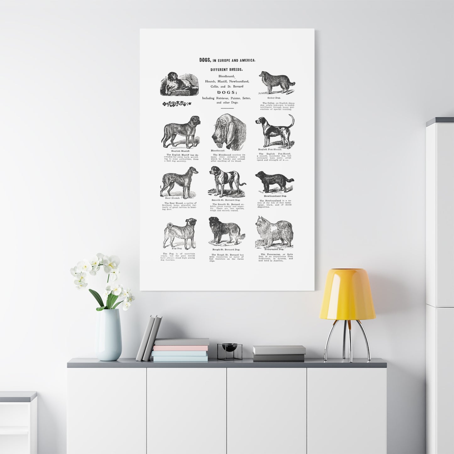 Vintage Dog Breed Poster Matte Canvas, Stretched, 1.25"