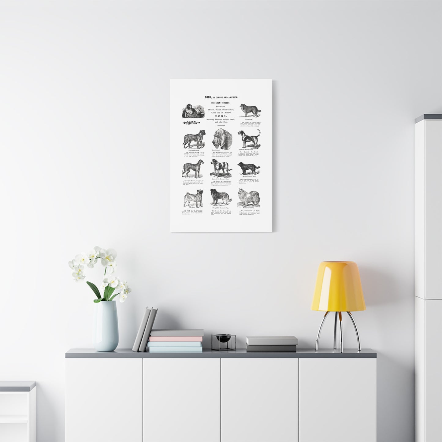 Vintage Dog Breed Poster Matte Canvas, Stretched, 1.25"