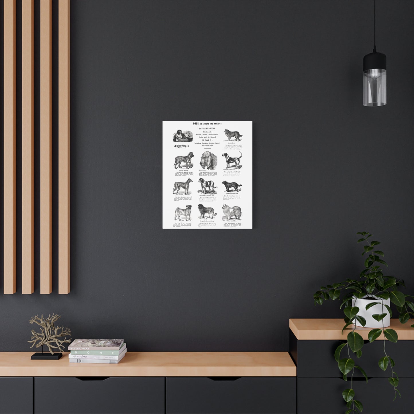 Vintage Dog Breed Poster Matte Canvas, Stretched, 1.25"