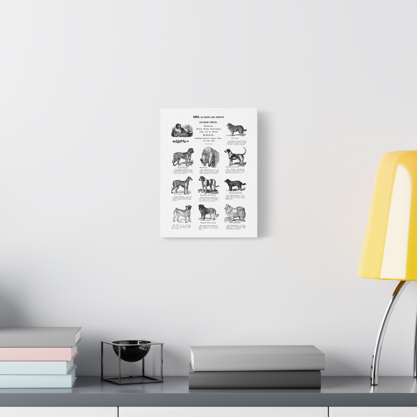 Vintage Dog Breed Poster Matte Canvas, Stretched, 1.25"