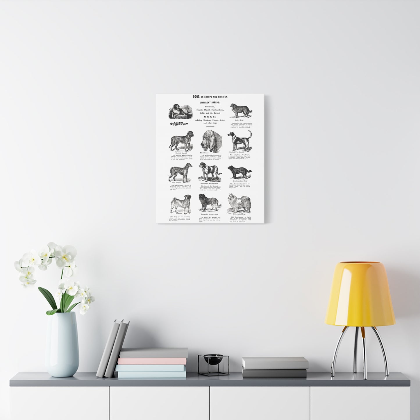 Vintage Dog Breed Poster Matte Canvas, Stretched, 1.25"