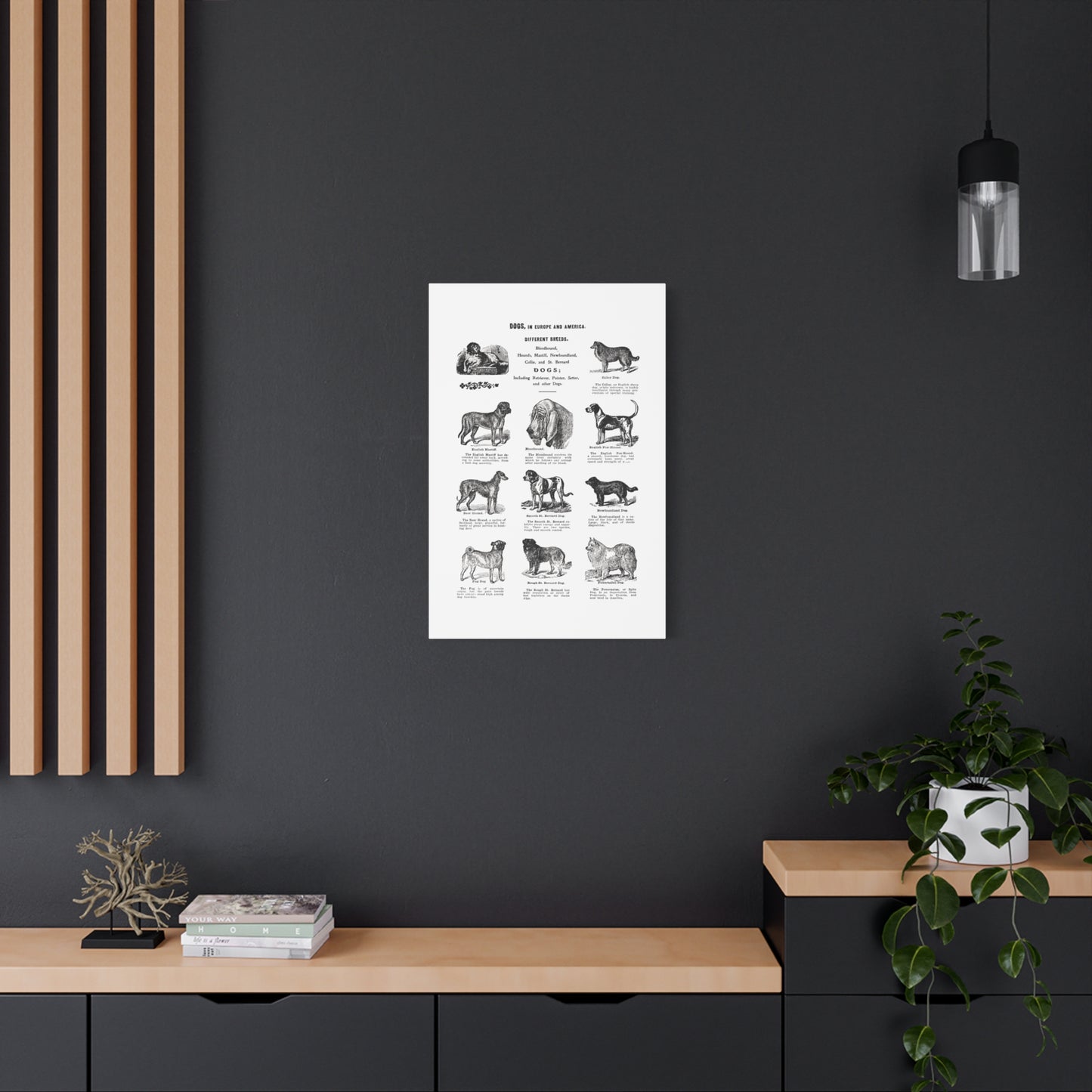 Vintage Dog Breed Poster Matte Canvas, Stretched, 1.25"