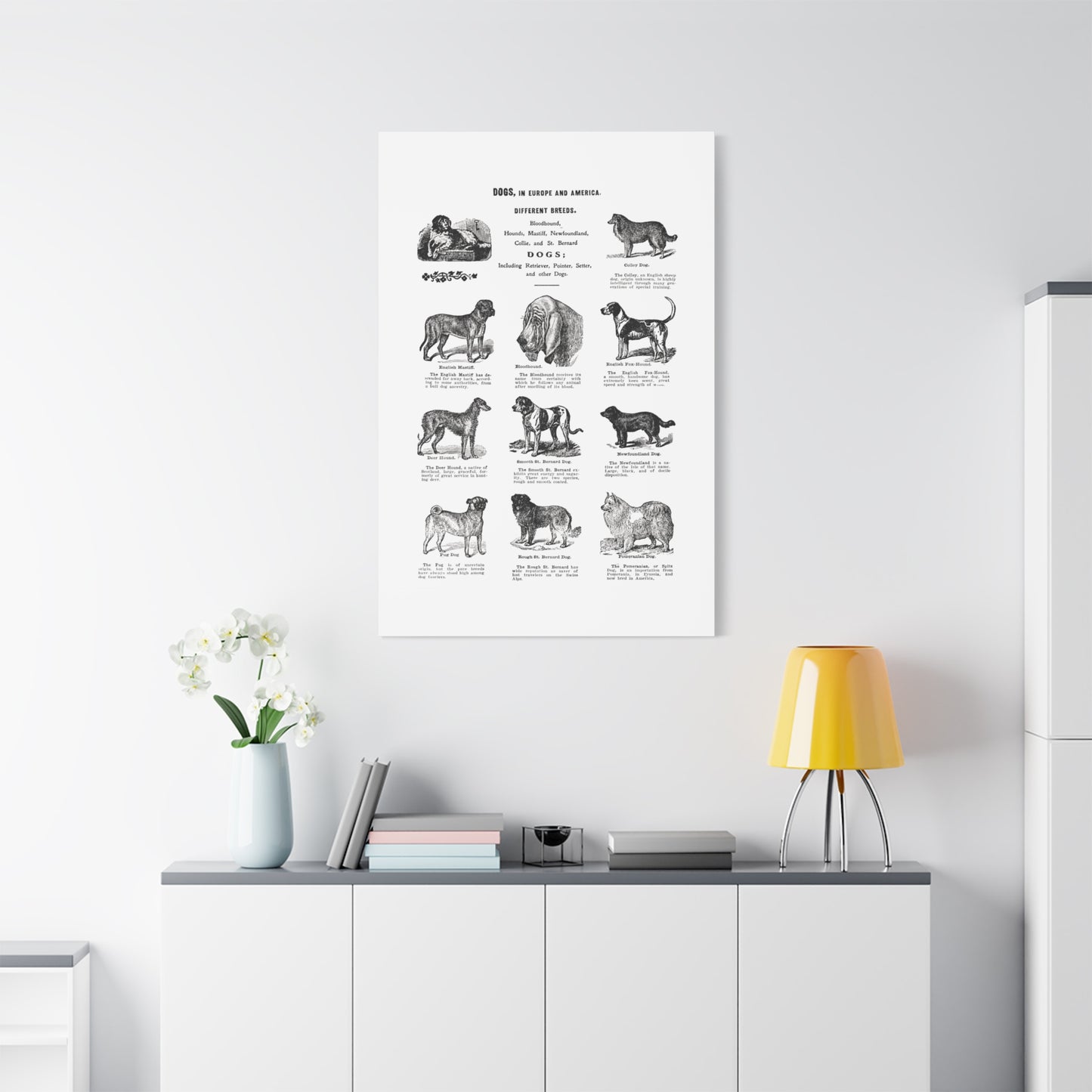 Vintage Dog Breed Poster Matte Canvas, Stretched, 1.25"