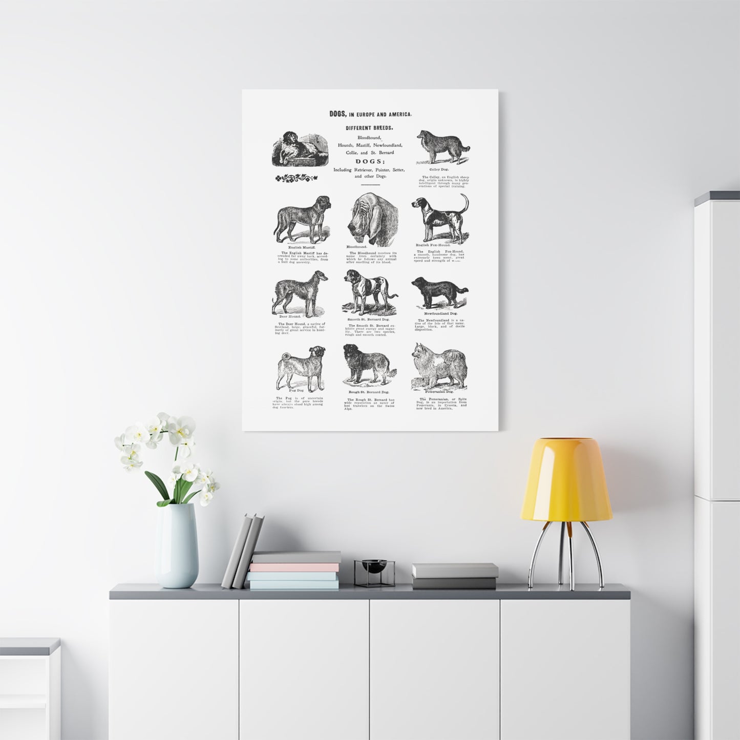 Vintage Dog Breed Poster Matte Canvas, Stretched, 1.25"