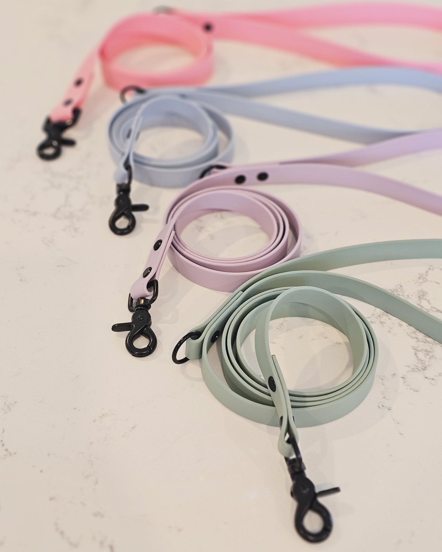 Spring Leash (25mm)