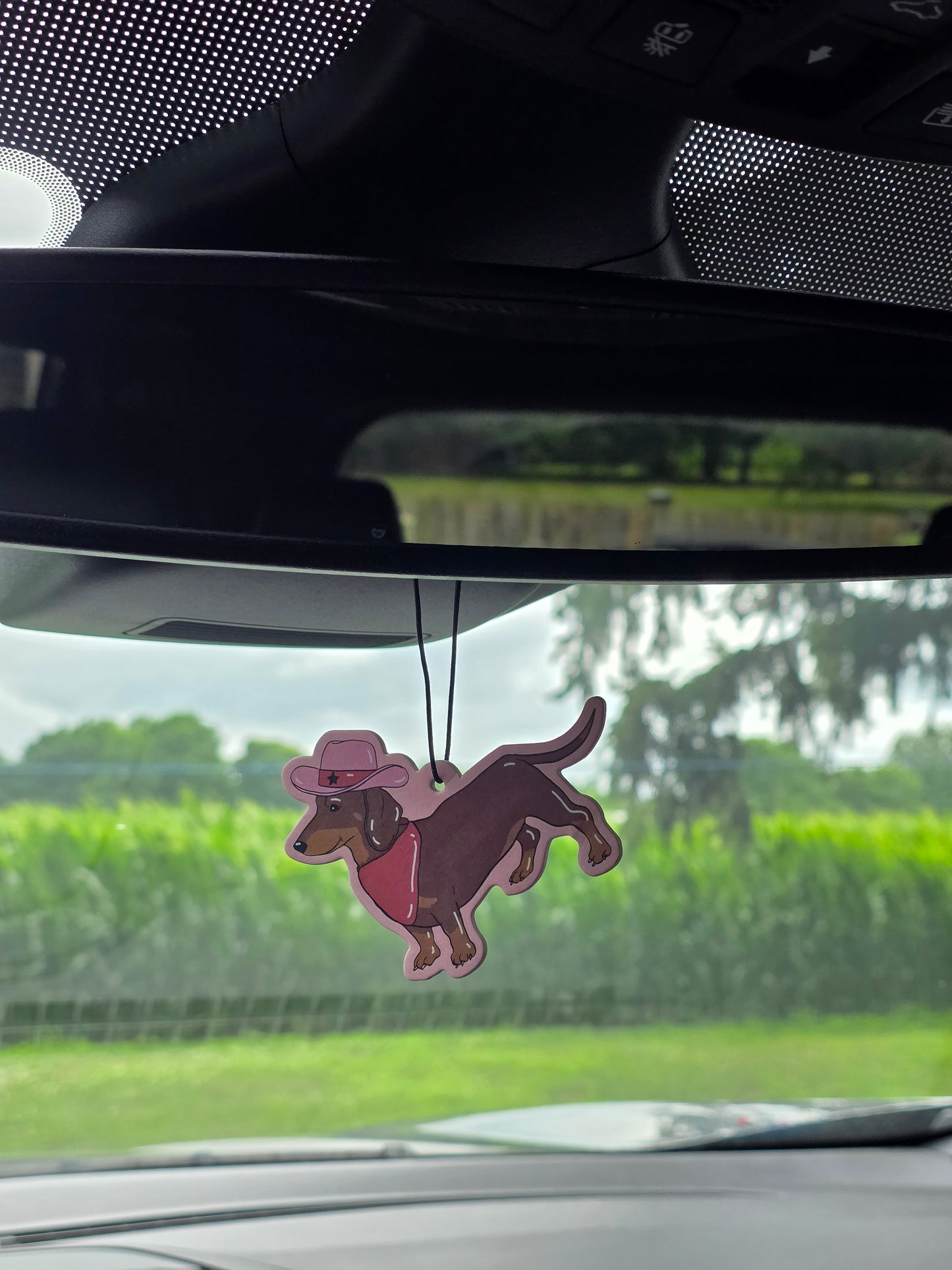 Car Air Freshener