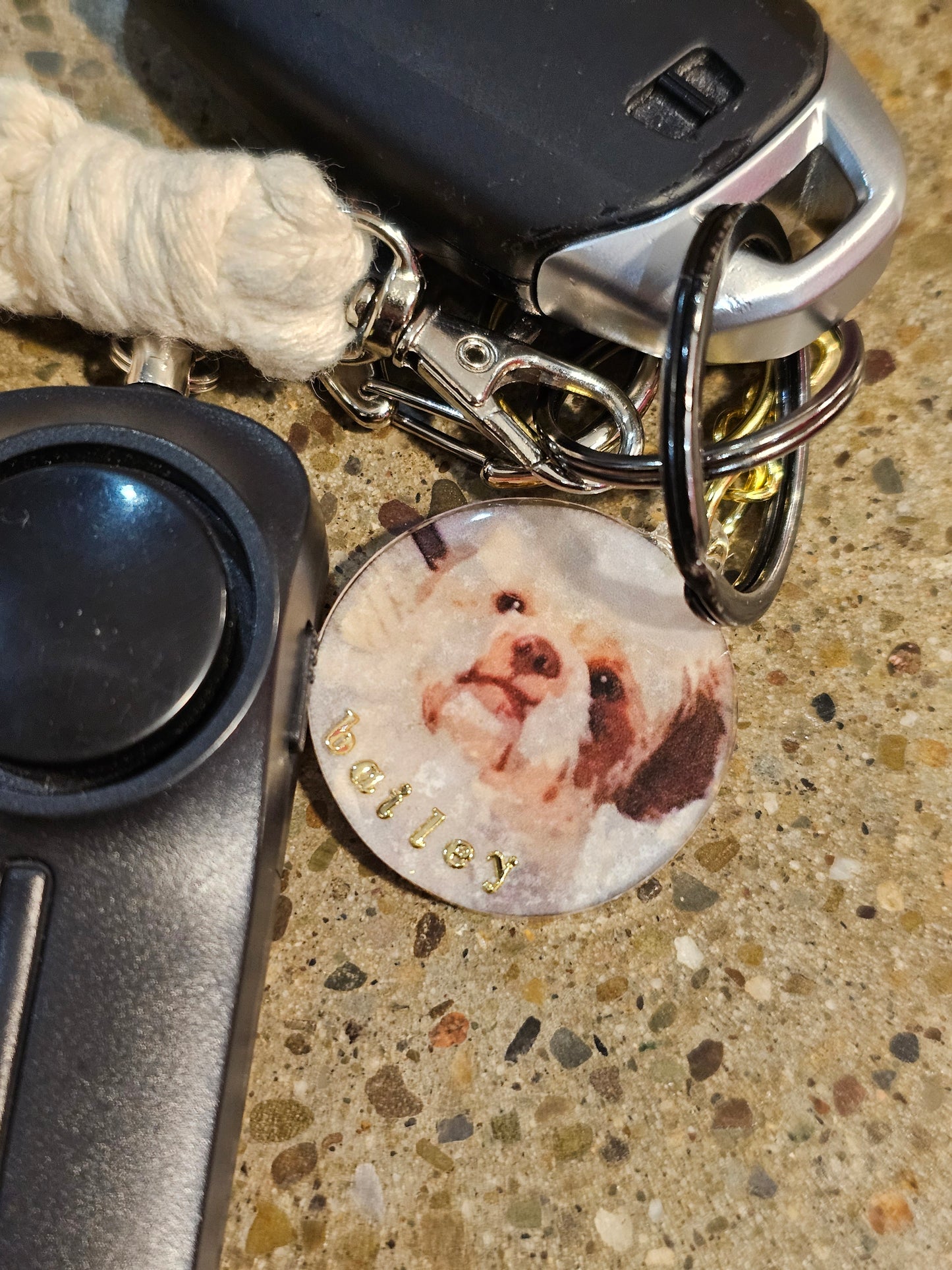 Pet Keychain, ( great memorial gift)