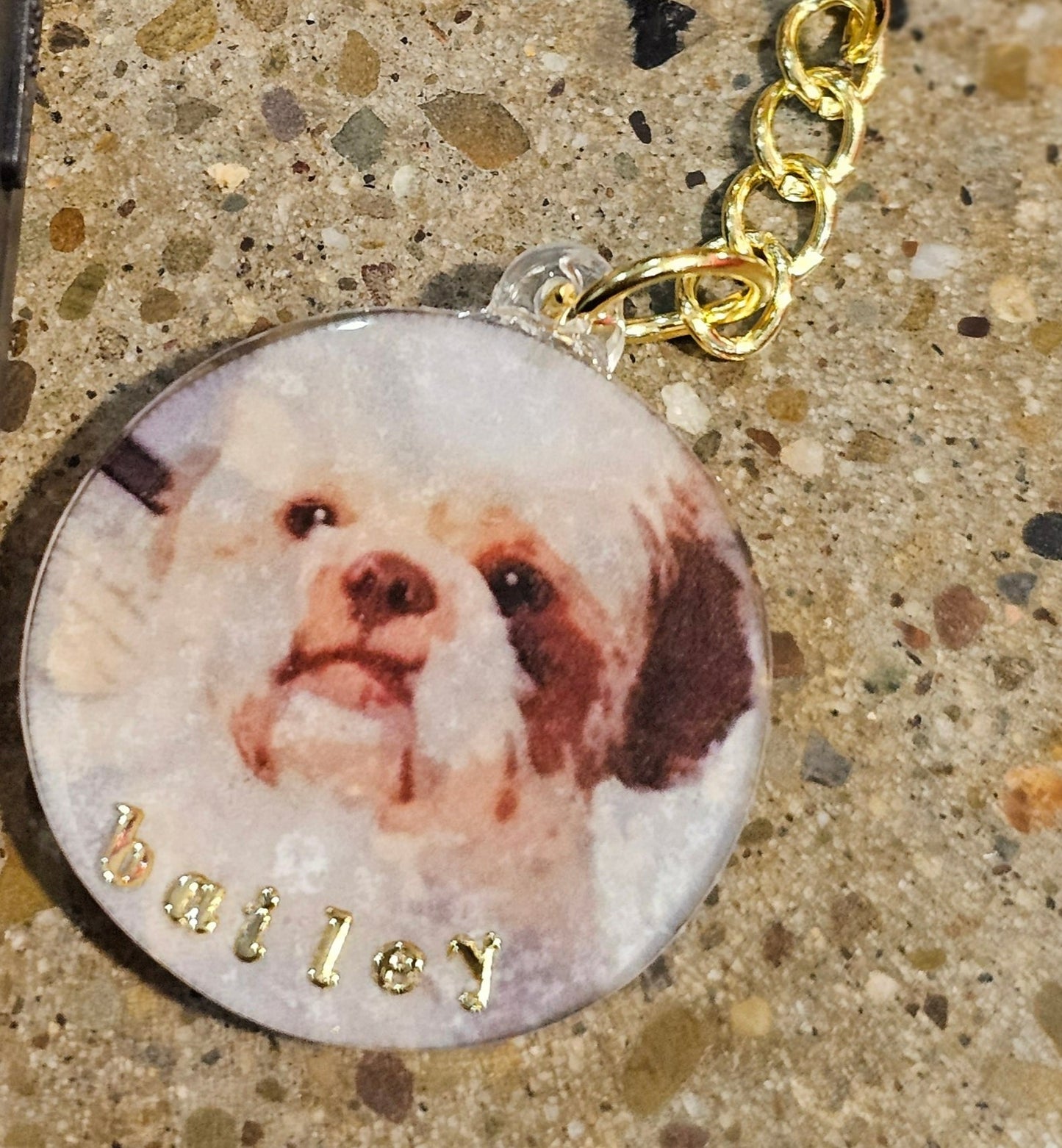 Pet Keychain, ( great memorial gift)