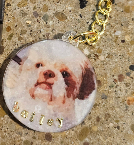 Pet Keychain, ( great memorial gift)